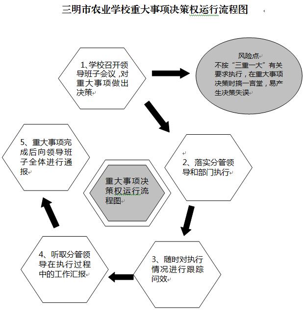 球赛下注平台（中国）有限公司重大事项决策权运行流程图.JPG